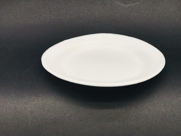 PLATO #15 (6)