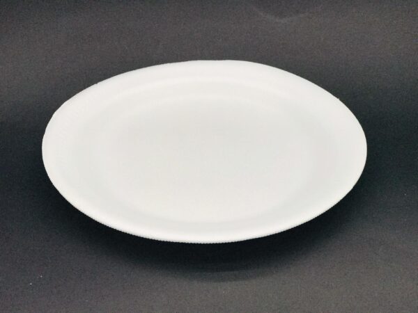 PLATO #20 (8)